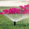Spray Sprinkler