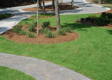 Landscaped front lawn